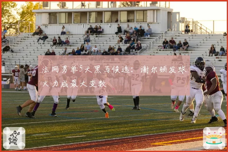 法网男单5大黑马候选:谢尔顿发球火力成最大变数