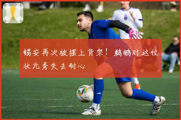 锡安再次被摆上货架!鹈鹕对这位状元秀失去耐心